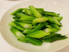 -圆苑(静安寺店)