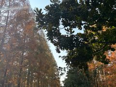 -上海交通大学(闵行校区)