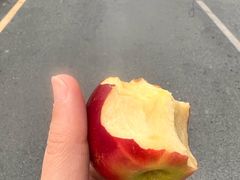 -阿婉贵州苗家酸汤鱼(梅林店)