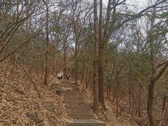 -紫金山山顶公园