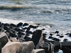 -东堤公园