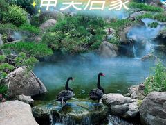 -罗红摄影艺术馆