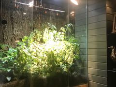 -有才叔的小馆(招商依云曲江店)