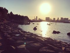-台场海滨公园船码头