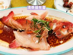 -寻味顺德·南记酒家·传统顺德菜·鱼生(广源路店)