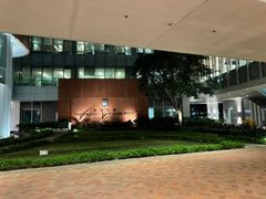 -香港大学