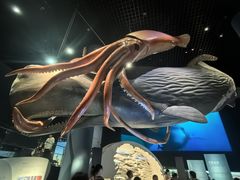 -浙江自然博物院(杭州馆)