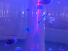 -常州海昌海洋探索馆