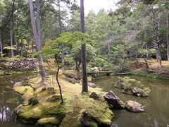 -西芳寺(苔寺)