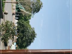 -西峡恐龙遗迹园