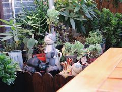 -IFIF 如果花園(宽厚里店)