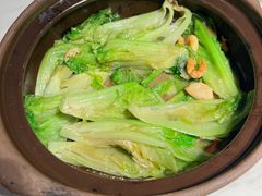 啫啫生菜煲-陶陶居酒家(新天地店)