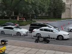 -齐动力网球(星河湾基地店)