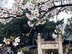 -鸡鸣寺