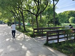 -新江湾城公园