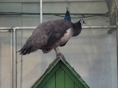 -北京市海淀外国语实验学校