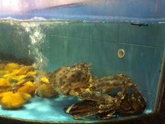 -金迎海鲜酒家(金凤凰广场店)