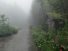 -重庆雨台山风景区