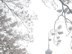 -成都市活水公园