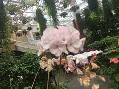 -天宫南铂玫瑰园酒店