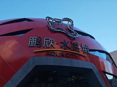 -鹏欣水游城