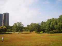 -大望京公园