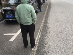 -香雪海