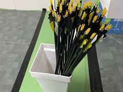 -蓝天射箭馆·专业射箭运动(诚丰广场店)