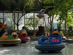 -南宫五洲植物乐园