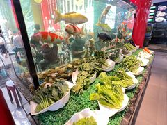-寻味顺德·珍之宝酒楼(银钻店)