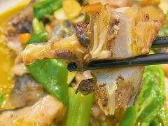 -饭怕鱼(阳光100店)