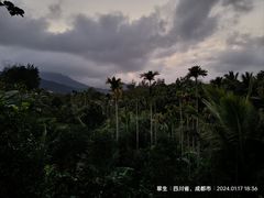 -万兴启丰椰子文化园餐厅