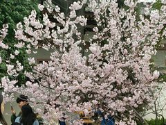 -西安青龙寺遗址景区