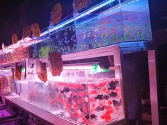 -中环花鸟鱼虫市场