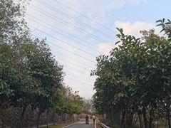 -小南山公园