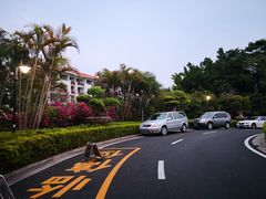 -广州凤凰城酒店-维也纳西餐厅