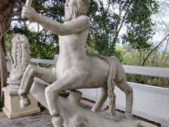 -银湖山郊野公园-相思林