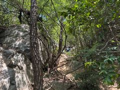 -虞山风景区