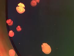 -福州罗源湾海洋世界旅游区