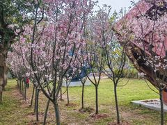 -观澜湖生态运动公社