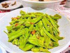 -壹盏灯(惠农店)