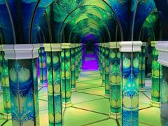 -天津梵高星空艺术馆(天河城旗舰店)