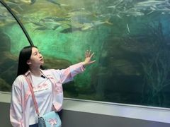 -洛阳龙门海洋馆