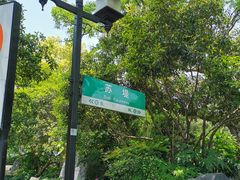 -苏堤停车场