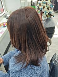 -镁连社·美联社