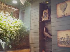 -有才叔的小馆(招商依云曲江店)