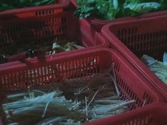-重庆特色冷锅鱼(武大店)
