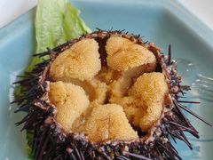-海味当家·蒸锅海鲜(星海公园店)