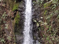 -马峦山郊野公园
