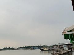 -大湾区中央湿地公园-十九涌